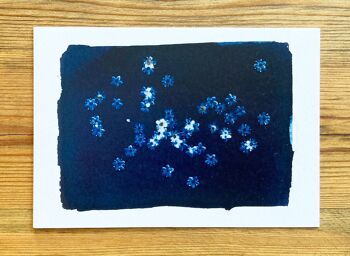 Carte de vœux bleue botanique des fleurs de sureau 1