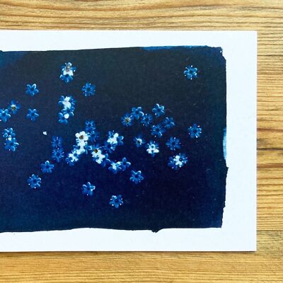 Carte de vœux bleue botanique des fleurs de sureau