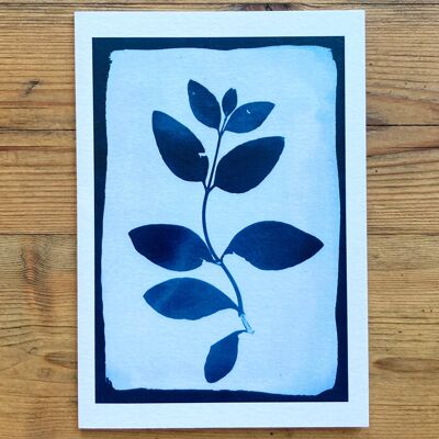 Honeysuckle Negative' Botanical Blue Greetings Card
