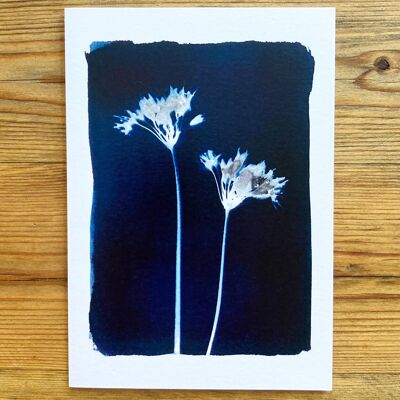 Wild Garlic' Botanical Blue Greetings Card