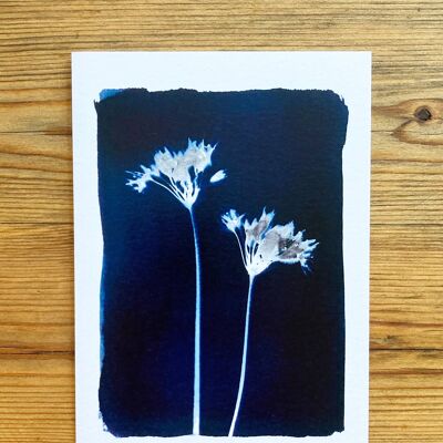 Biglietto d'auguri blu botanico con aglio selvatico