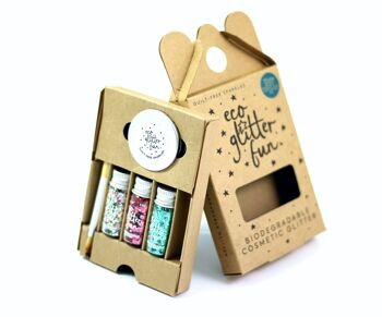 Eco Glitter Fun Sparkle 3pcs Blends 3 Kit en boîte - Aqua, Rosa & Tutti Frutti 1