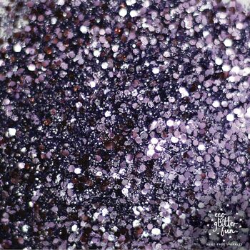 Eco Glitter Fun Sparkle 3pcs Blends 4 Kit en boîte - Violetta, Lollipop & Studio 54 4