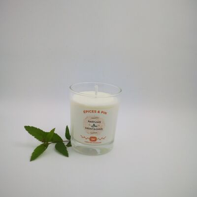 Scented candle 75 Spices and Pine