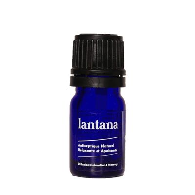 Huile essentielle de Lantana - Calmante