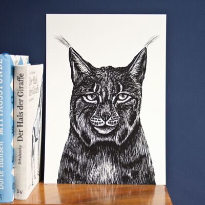 manifesti | lince