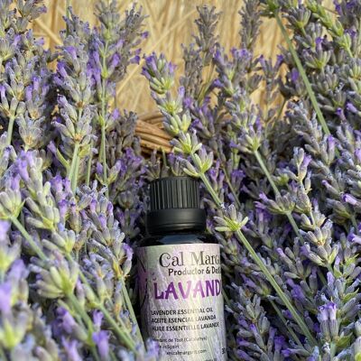 Ätherisches Bio-Lavendelöl 30 ml