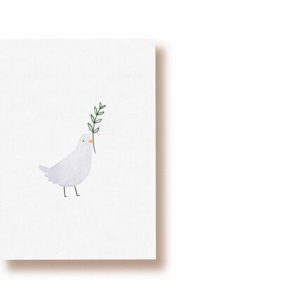 dove | postcard