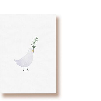 colombe | carte postale 1