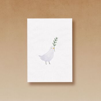 colombe | carte postale 3