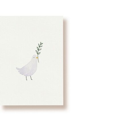 colomba | cartolina