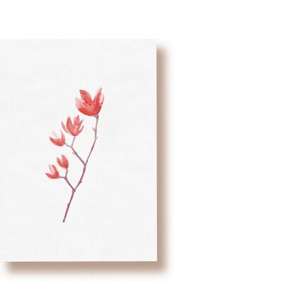 Magnolia | carte postale