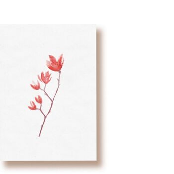 Magnolia | carte postale 1