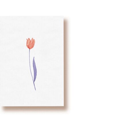 tulipán | tarjeta postal