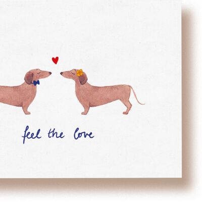 siente el amor | tarjeta postal