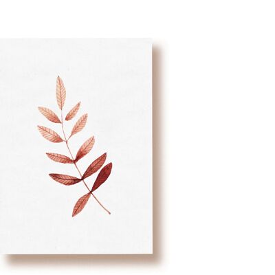 ash leaf | postcard