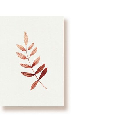 ash leaf | postcard