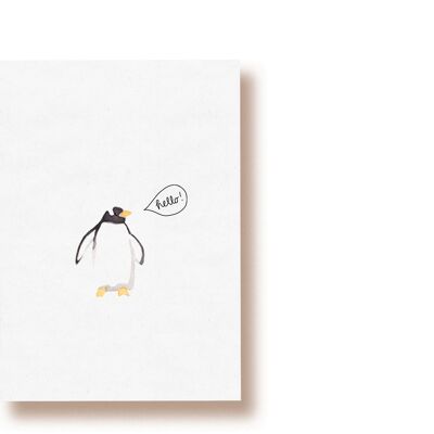 Hola pingüino | tarjeta postal