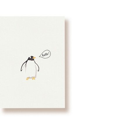 Hola pingüino | tarjeta postal