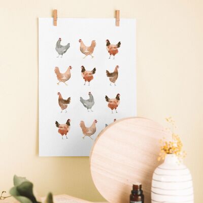 Chickens | Print A4