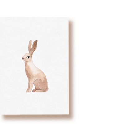 rabbit | postcard