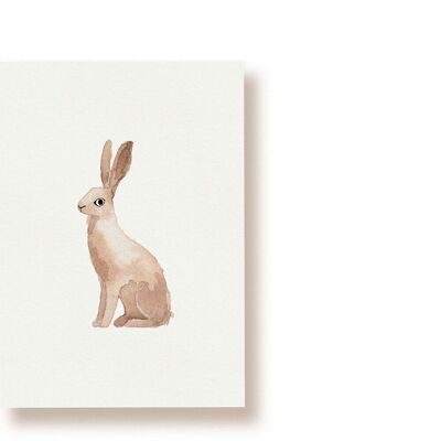 lapin | carte postale