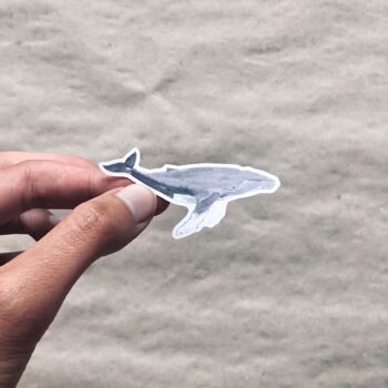 Stickers baleines en papier recyclé / sans PVC 2