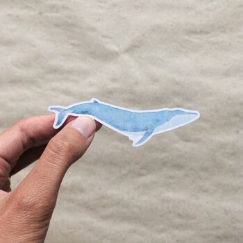 Stickers baleines en papier recyclé / sans PVC 6