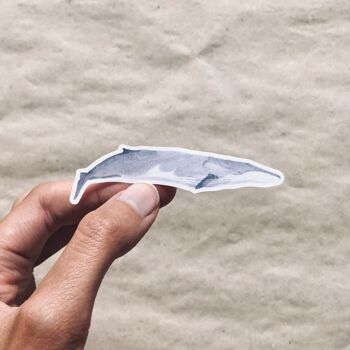 Stickers baleines en papier recyclé / sans PVC 7