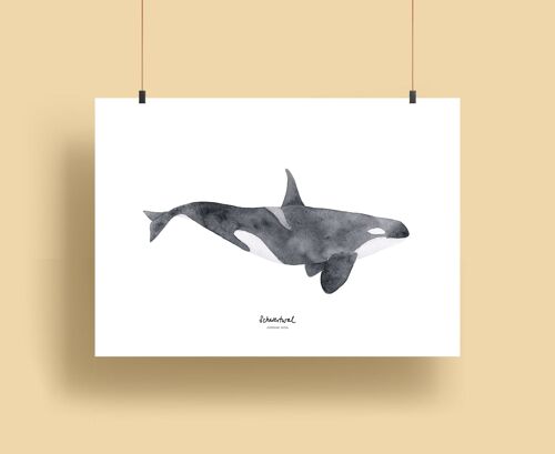 Whales | Prints - Schwertwal