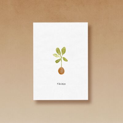 Kokedama | Postcard - for you