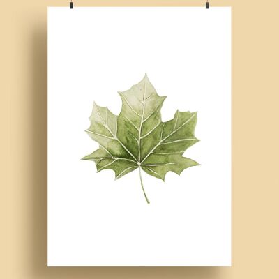 maple leaf | Print A5