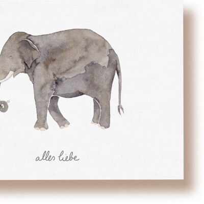 Elephant Celebration | postcard