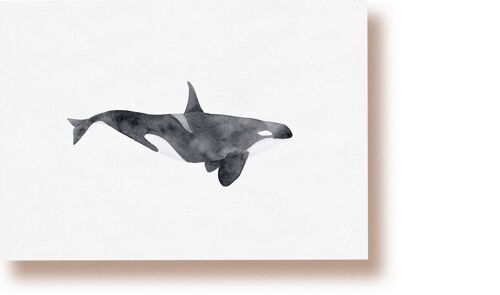 Orca | Postkarte