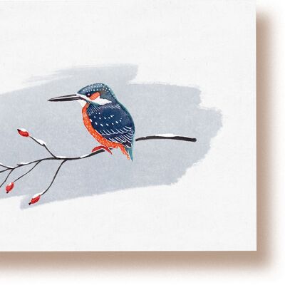 Kingfisher | postcard