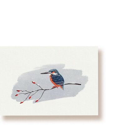 Eisvogel | Postkarte