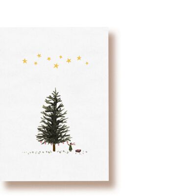 fir tree | postcard