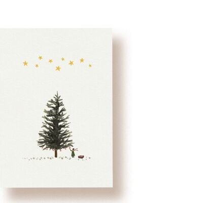 fir tree | postcard