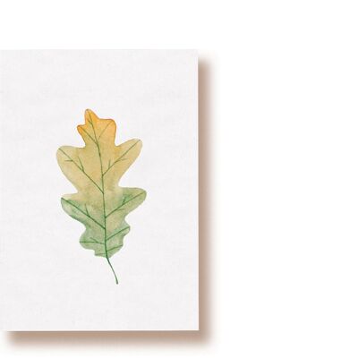 feuille de chêne | carte postale