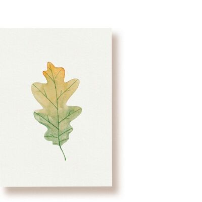 foglia di quercia | cartolina