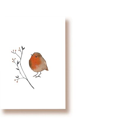rouge-gorge | carte postale