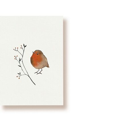 Robin | cartolina