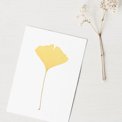 Ginkgo Herbarium (foglio) • Formato A6 • da incorniciare