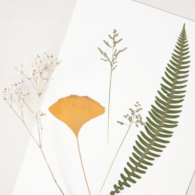 Herbier Bouquet ginkgo (plantes variées) • format A4 • à encadrer