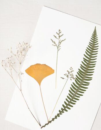 Herbier Bouquet ginkgo (plantes variées) • format A4 • à encadrer 1