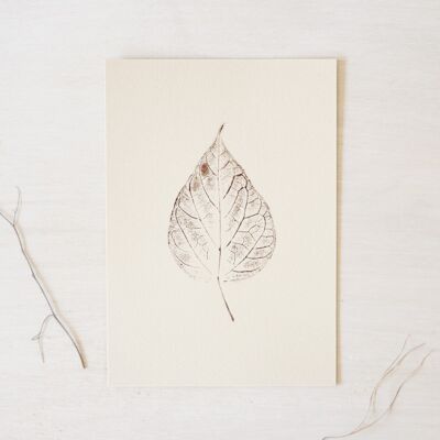 Small A5 poster • original print • Catalpa