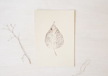 Petite affiche A5 • estampe originale • Catalpa 1