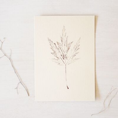 Acero argentato • poster piccolo • impronta vegetale Marrone caldo