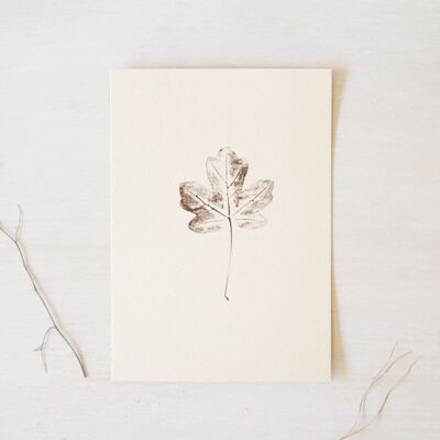 Acero campestre • poster piccolo • impronta vegetale Marrone caldo