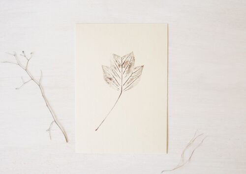 Tulipier • petite affiche • empreinte végétale Brun chaud